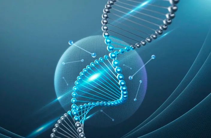 古特生物 圖片