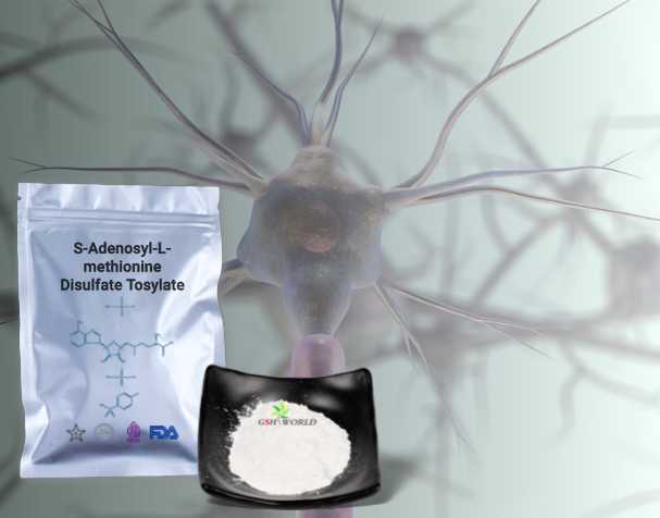 SAMe對神經(jīng)健康的作用