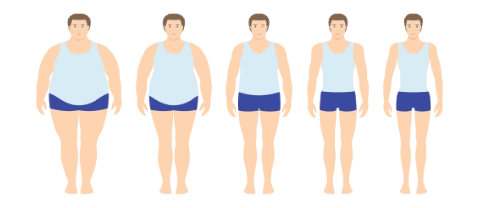 對(duì)肥胖“氧化應(yīng)激-炎癥”循環(huán)的阻斷作用