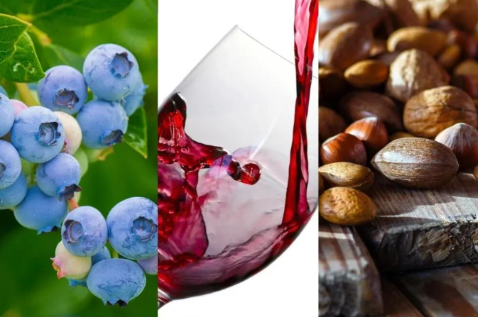 普通促智食物：以間接作用為主的溫和保護(hù)路徑