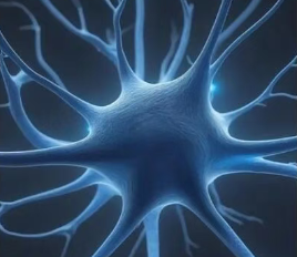 胞磷膽堿：神經(jīng)膜的直接修復(fù)者