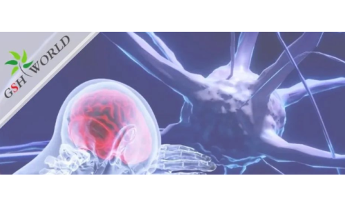 行業(yè)關(guān)注 - 谷胱甘肽在腦部疾病和衰老中的作用